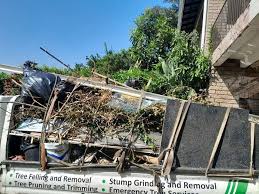Best Property Management Cleanouts  in Lafayette, CO