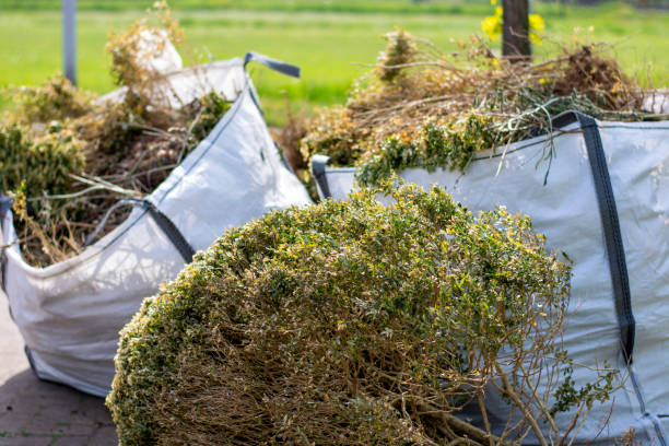 Best Electronics and E-Waste Disposal  in Lafayette, CO
